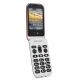 Téléphone portable Doro 6060
